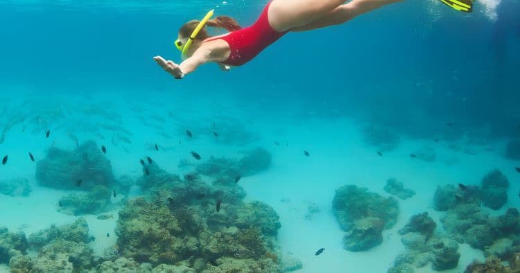 El Cielo & Reef Snorkel Adventure