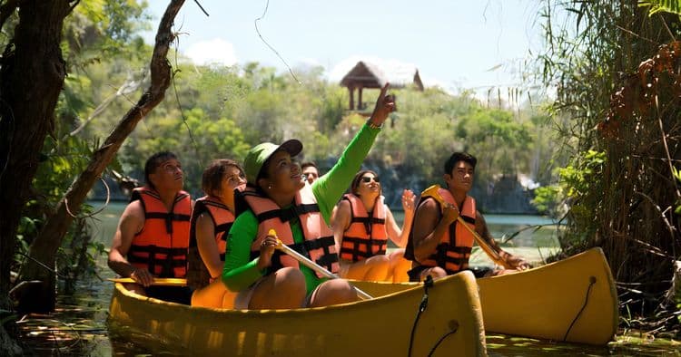 Cenote Hopping, Snorkeling, Zipline & Lunch