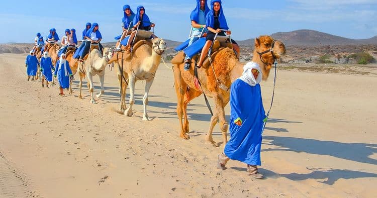 Camel & Mexican Outback Adventure with Lunch