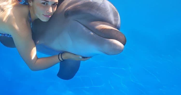 Bubble Tour: Dolphin Swim
