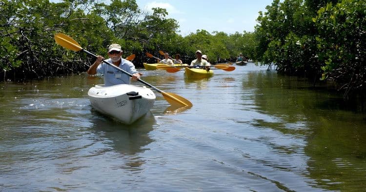 Kayaking, Nature, Gold Rock Beach & Gardens