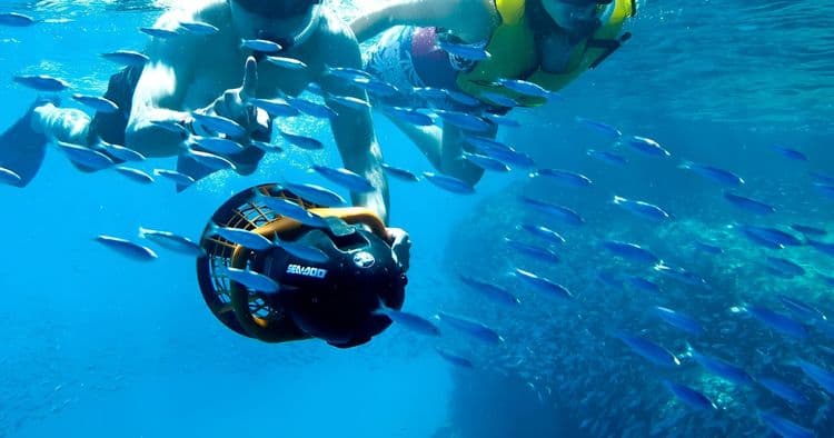 Aqua Trio Adventure