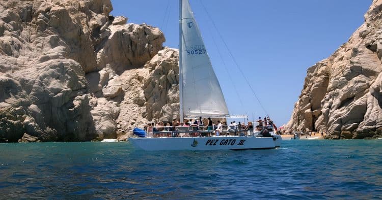 Catamaran Cruise & Snorkel with Open Bar