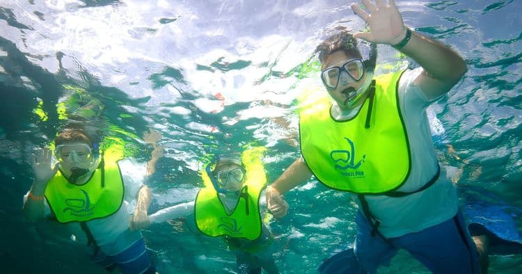Snorkeling Sea Safari