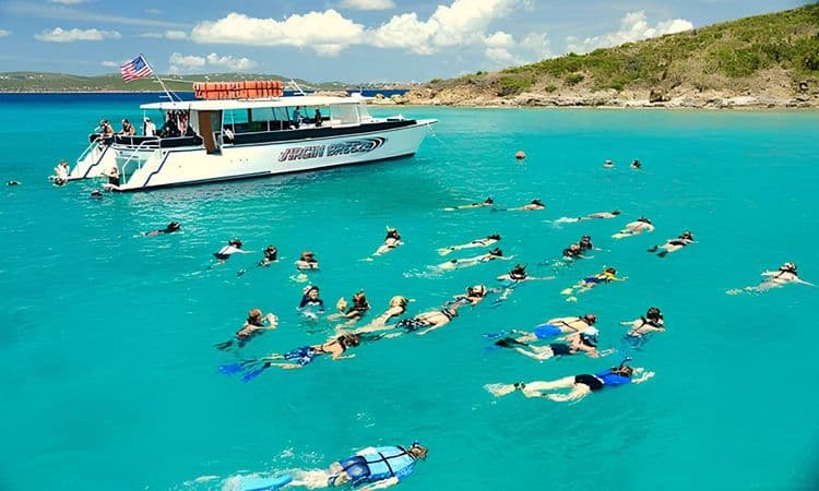 Xmas Cove Powercat - Snorkel, Turtles & Rays