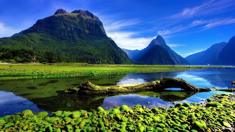 Multi-Day Adventures - Queenstown - Milford/Dunedin (Double Occupancy)