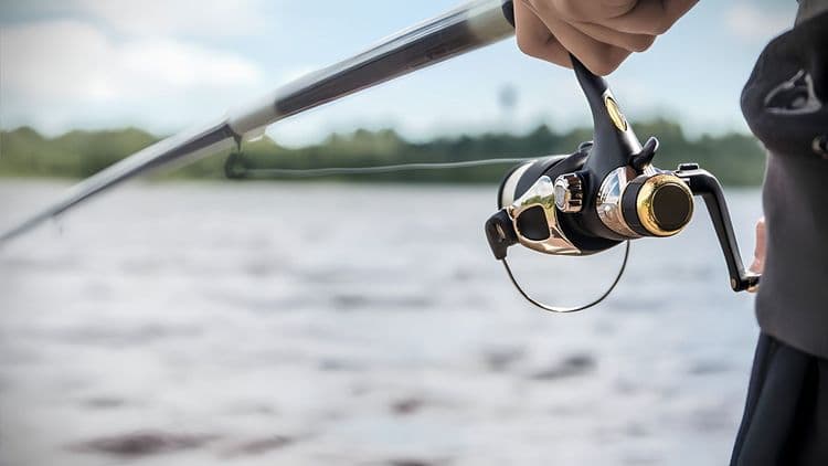 Light Tackle Fishing