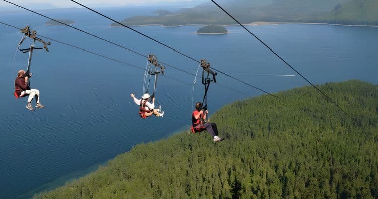 Adventure Park & ZipRider Combo
