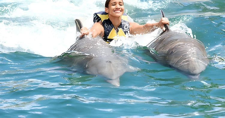 Dolphin Swim & Ocean World Day Pass