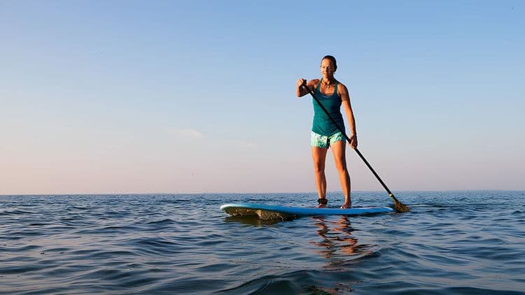 Bay of Islands Nature Cruise and Paddleboarding