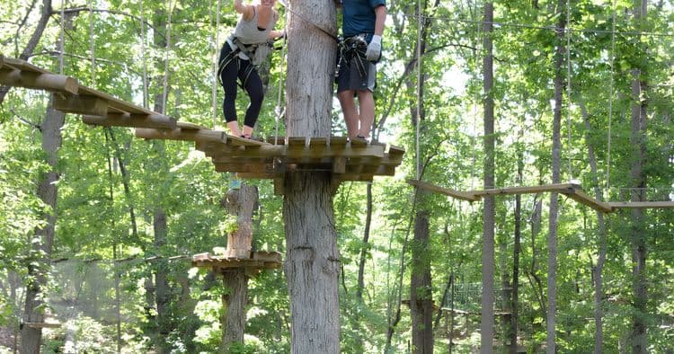 Tree Top Adventure Park & Ropes Course