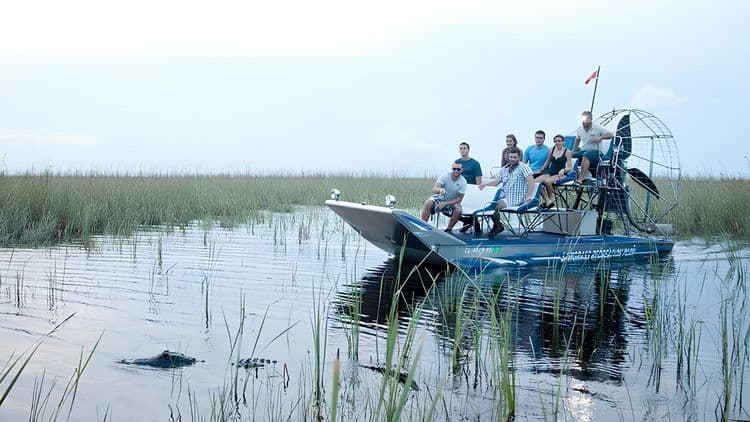 Everglades Airboat Ride (Ends At MIA)