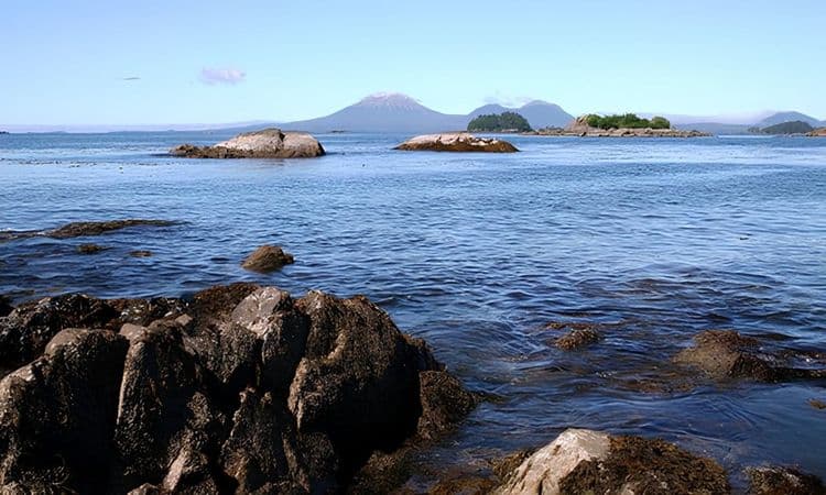 Sitka Bay Coastal Exploration by Ocean Raft