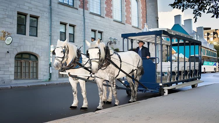 Old Quebec Walking Tour and Horse Wagon Ride