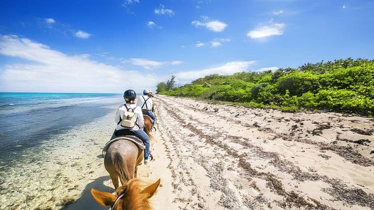 Horse Ride Trail and Beach