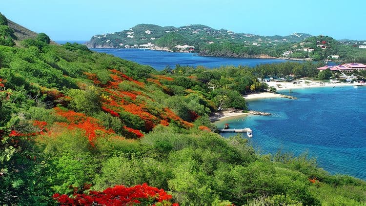 Panoramic St. Lucia