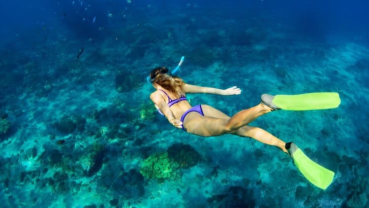 Grand Cayman Snorkel