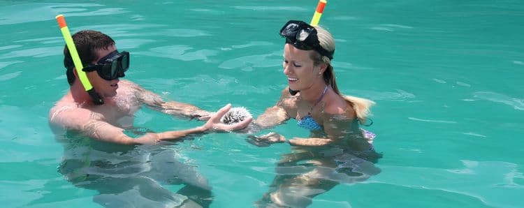 Ultimate Beach and Snorkel Adventure
