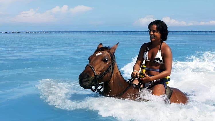 Trail & Sea Horseback Ride