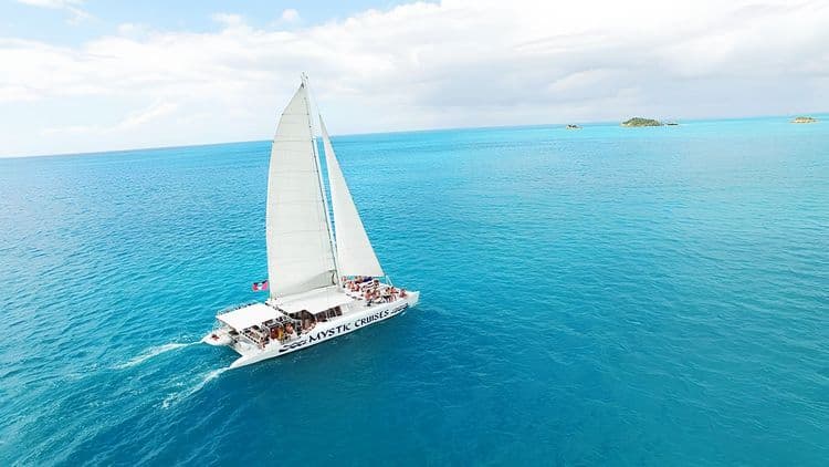 Catamaran Cruise with Lobster Lunch