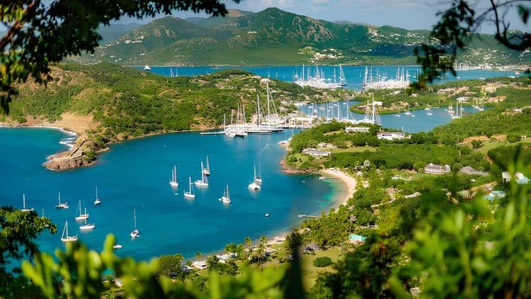 Amazing Antigua