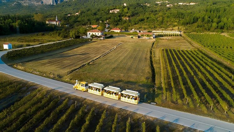 Scenic Konavle Valley Wineries by Road Train