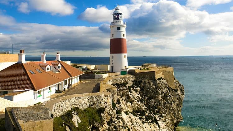 Panoramic Tour and Gin Distillery Experience