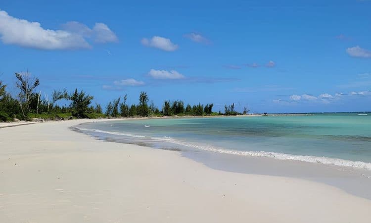 Maxxi's Bahamian Beach Club Access