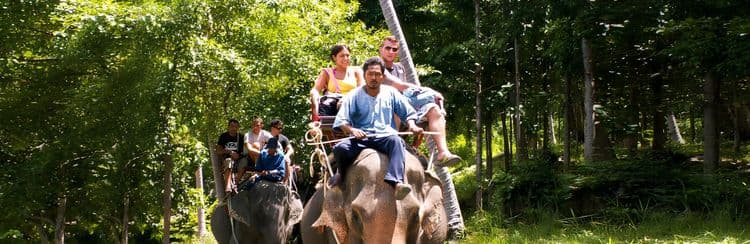 Eco Safari By 4-Wheel-Drive