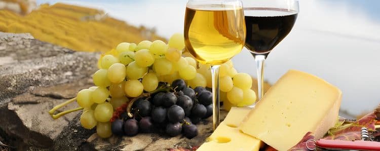 Great Fermentations! Wine and Distillery Tour