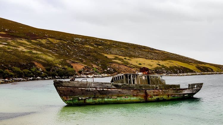 Falklands Nature Trek