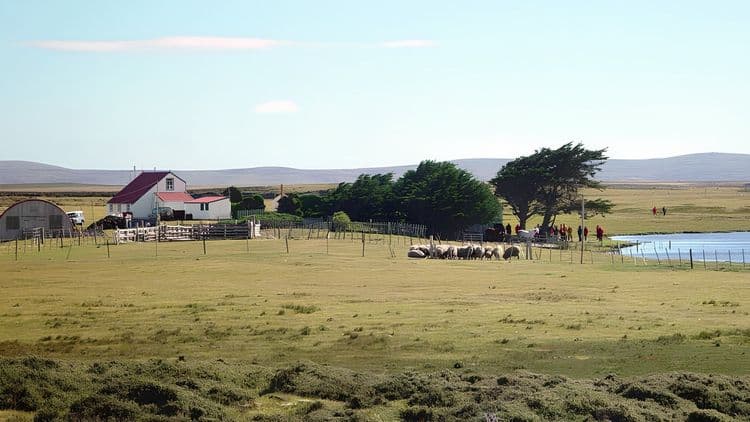 Long Island Farm