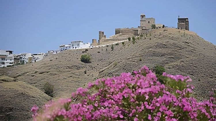 A Slice of Andalusian Paradise