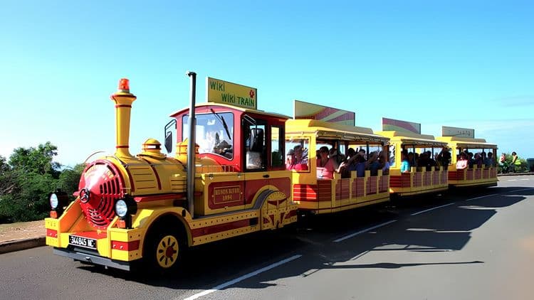 Discovery Tchou Tchou Train