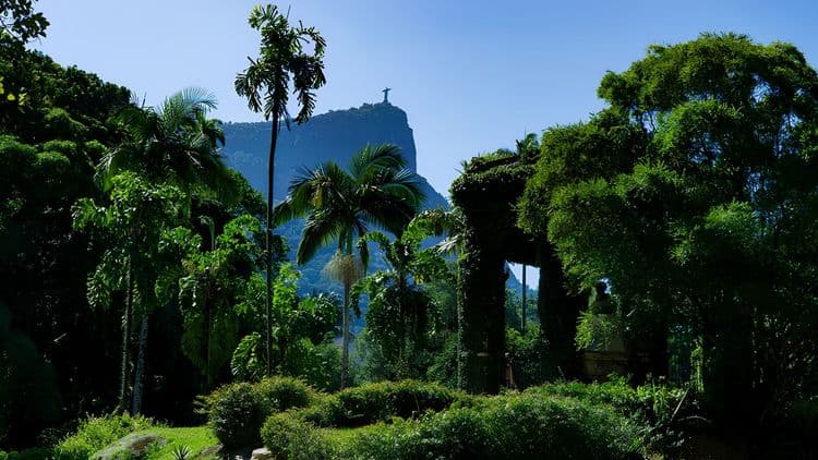 HD Botanical Gardens and Parque Lage