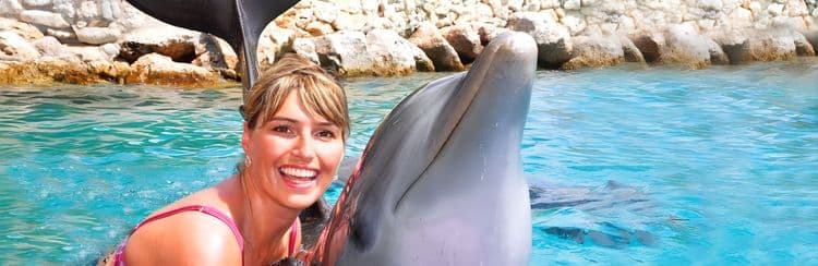 Curacao Dolphin Encounter