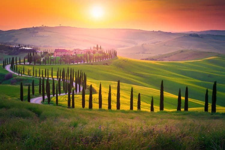 Etruscan Countryside & Olive Oil Tasting