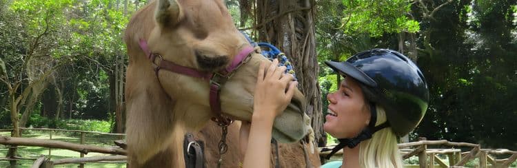 Camel Safari & Dunn's River Falls