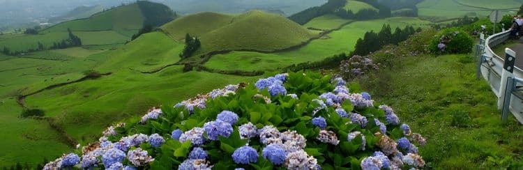 Off The Beaten Track: Azores