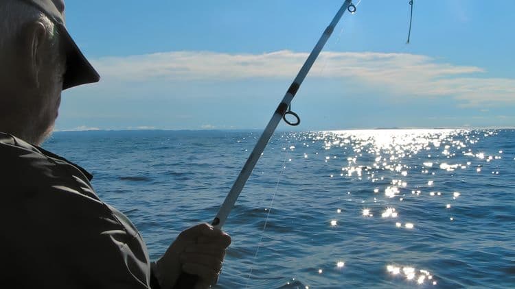 Deep Sea Fishing Adventure