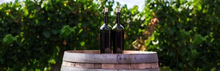 A Taste Of Malta: Marsaxlokk & Wine Tasting