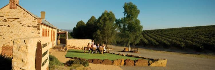 McLaren Vale Vineyards & Wine