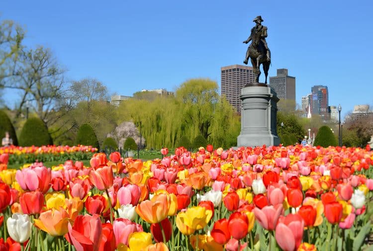 Freedom Trail Walk