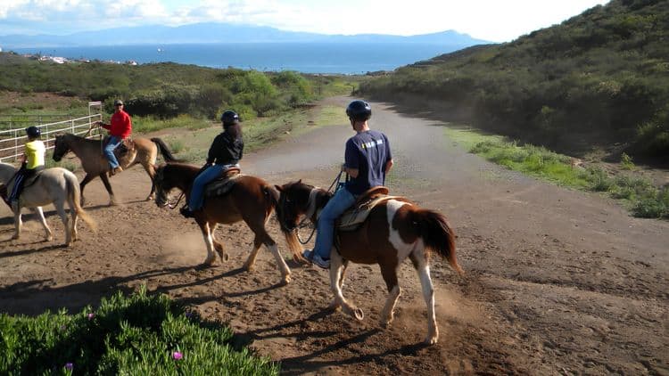 Hoofin' Through Ensenada