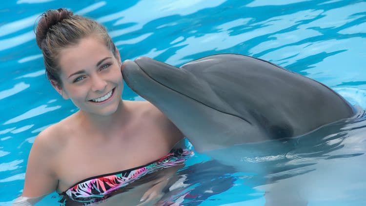 Dolphin Social