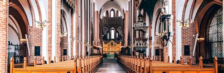 Kings & Vikings: The Viking Ship Museum & Roskilde Cathedral