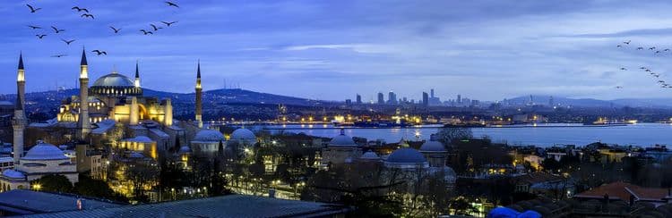 A Taste Of Istanbul: Dinner Cruise On The Scenic Bosphorus