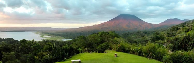 Limon Flavors, Tropical Plant & Countryside