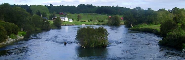 Pesca con mosca en el río Maullin