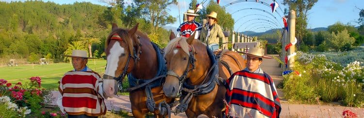 Live The Chilean Spirit: Wines & Horses (Intransit)